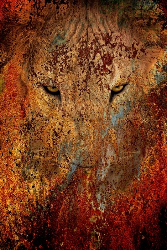 The King
